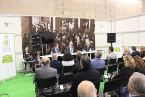 Ponencia Vaughan (11)